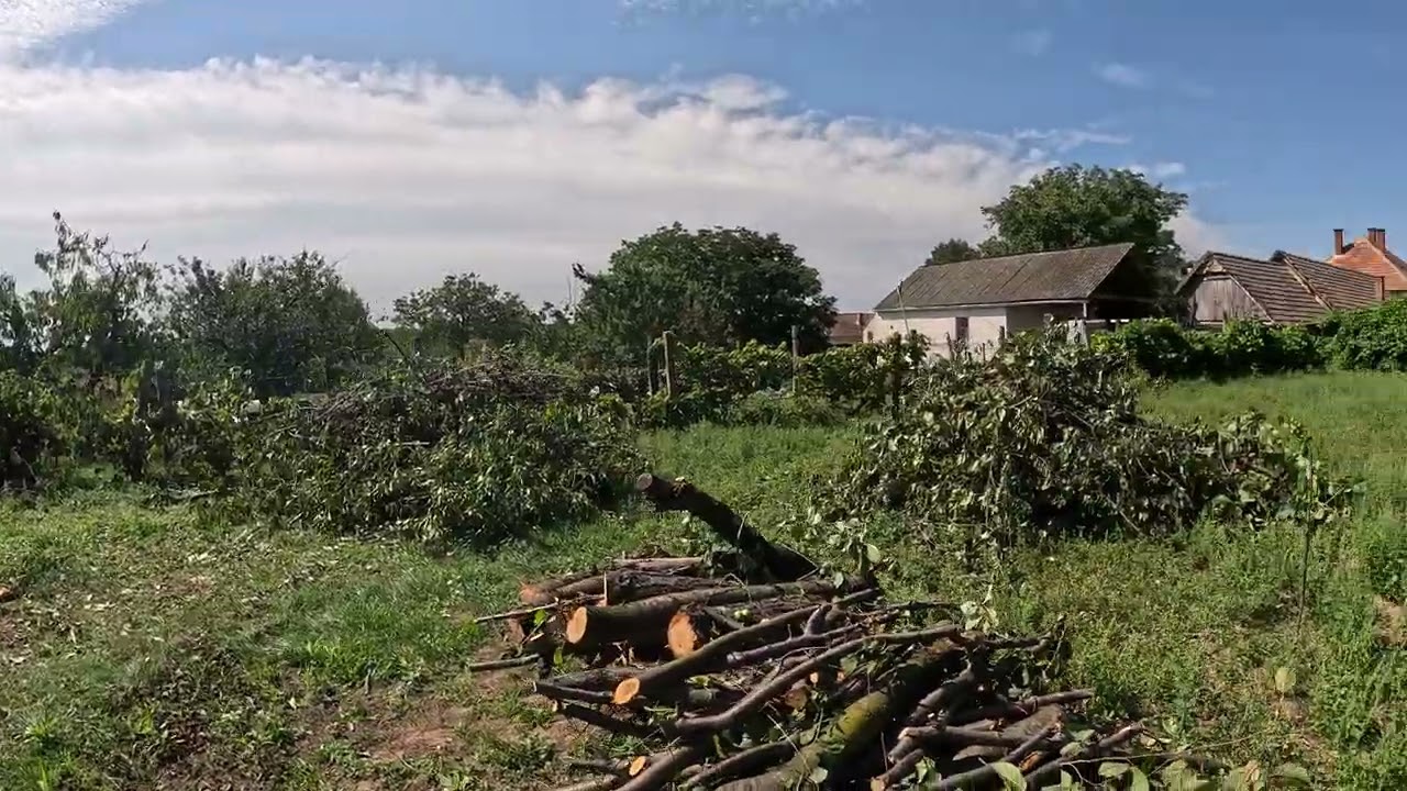 Hangi Meyve Ağaçları Yan Yana Dikilir? | Bahçemi Yeniliyorum, Fikirlerinizle!