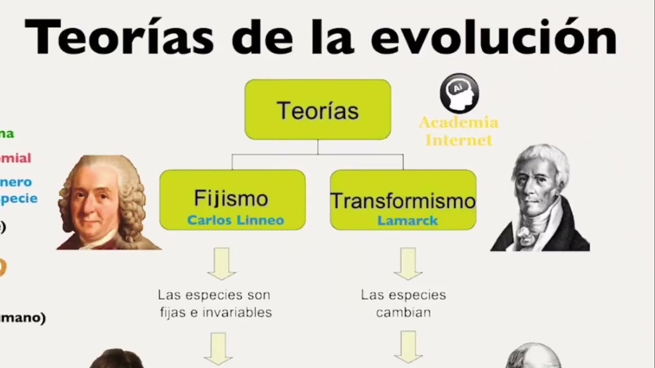 Teorias de la evolucion, fijismo, transformismo, evolucionismo, Linneo, Darwin, Neodarwinismo
