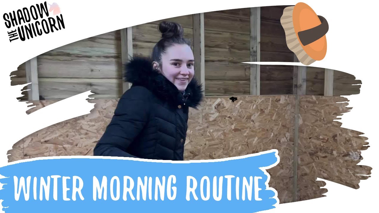 Winter Morning Horse Routine! | Shadow the Unicorn