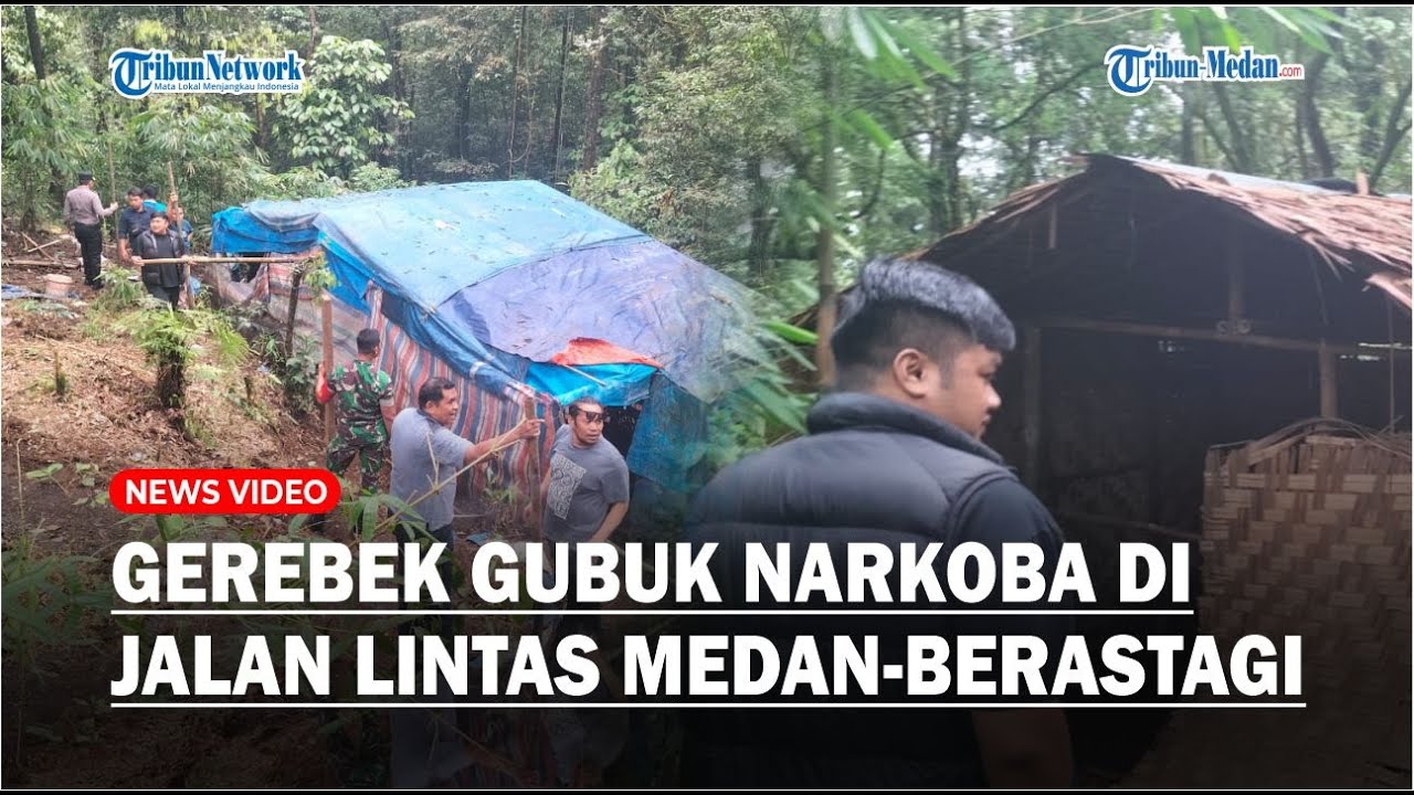 Ternyata Ada Puluhan Gubuk Narkoba di Jalan Lintas Medan-Berastagi, Polda Sumut Tangkap 3 Orang