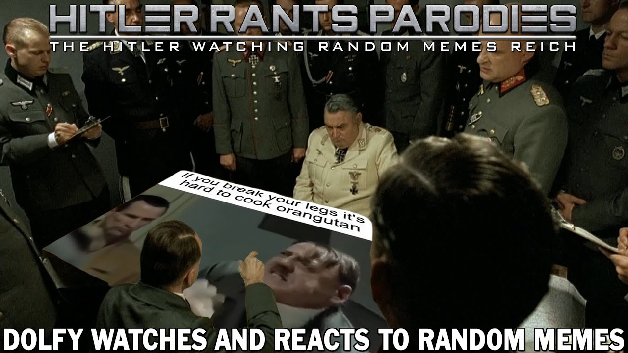 Dolfy watches and reacts to random memes