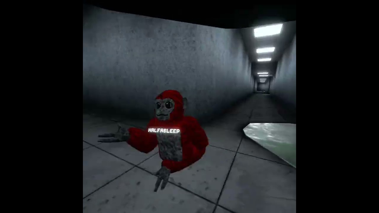 More scary baboon
