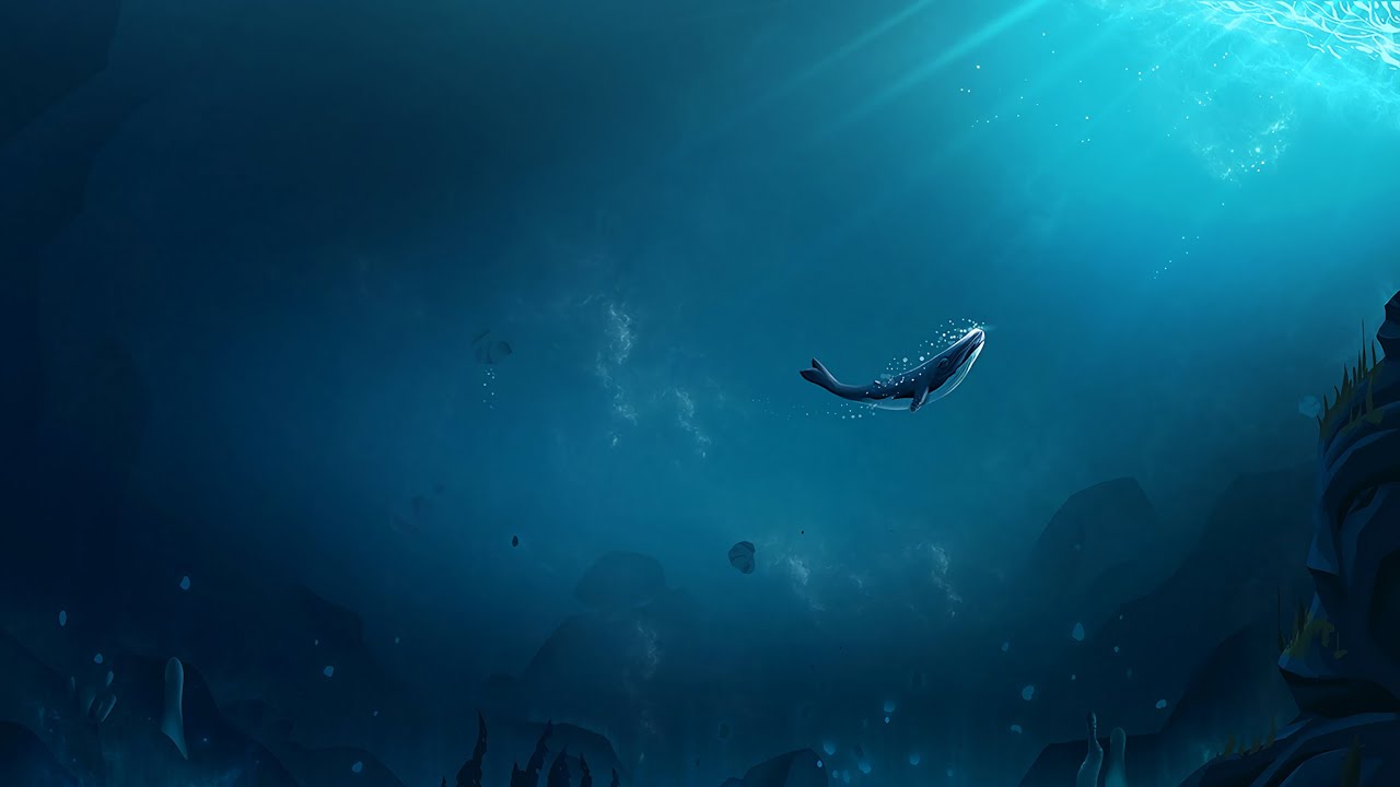 Whale (Soaring 2016) - Iday