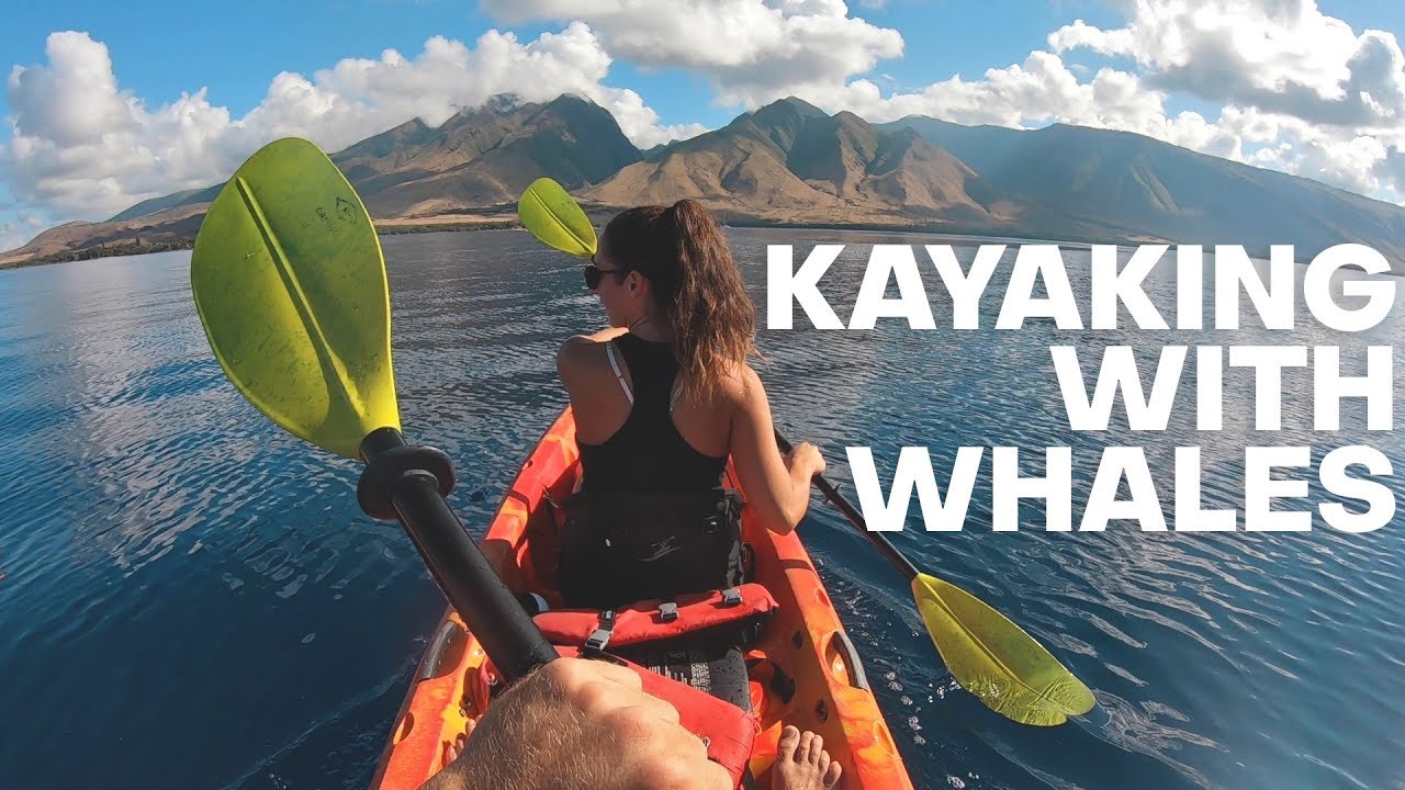 Kayaking With Humpback Whales on Maui Hawaii  - The Detourist Guide To Travel - Maui | Ep. 23