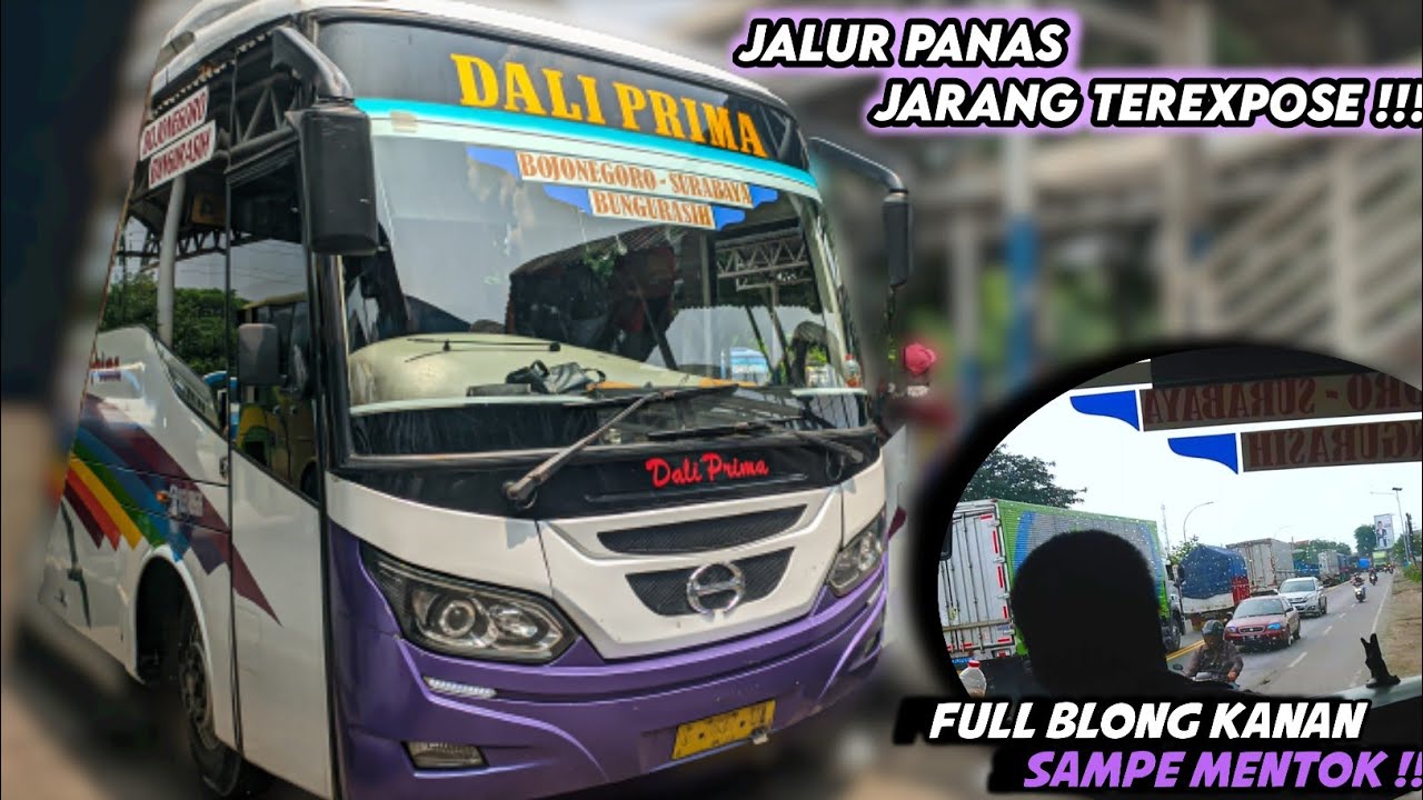 PANTURA FULL RUNGKADD ‼️ ||  Surabaya - Bojonegoro bersama Dali Prima Discovery