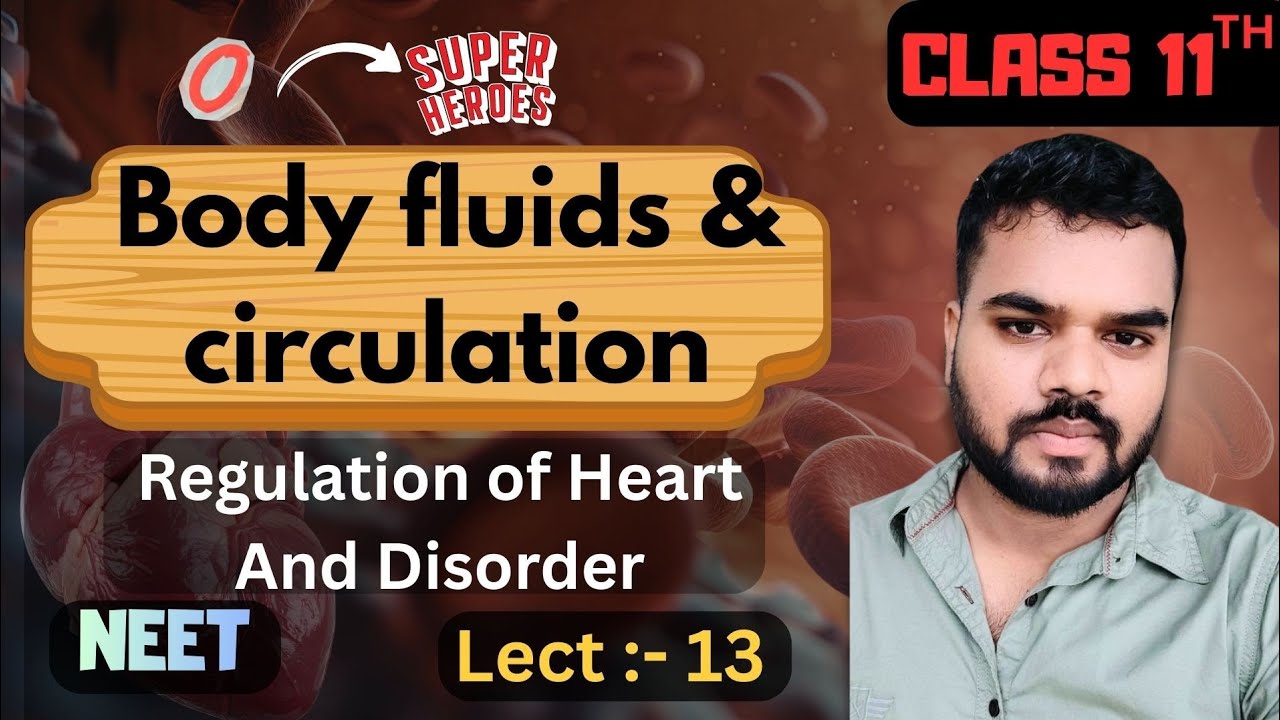 Body fluid and circulation {lecture 13}.. Class 11th//NEET.. NCERT Biology #neet2026 #neet2027 
