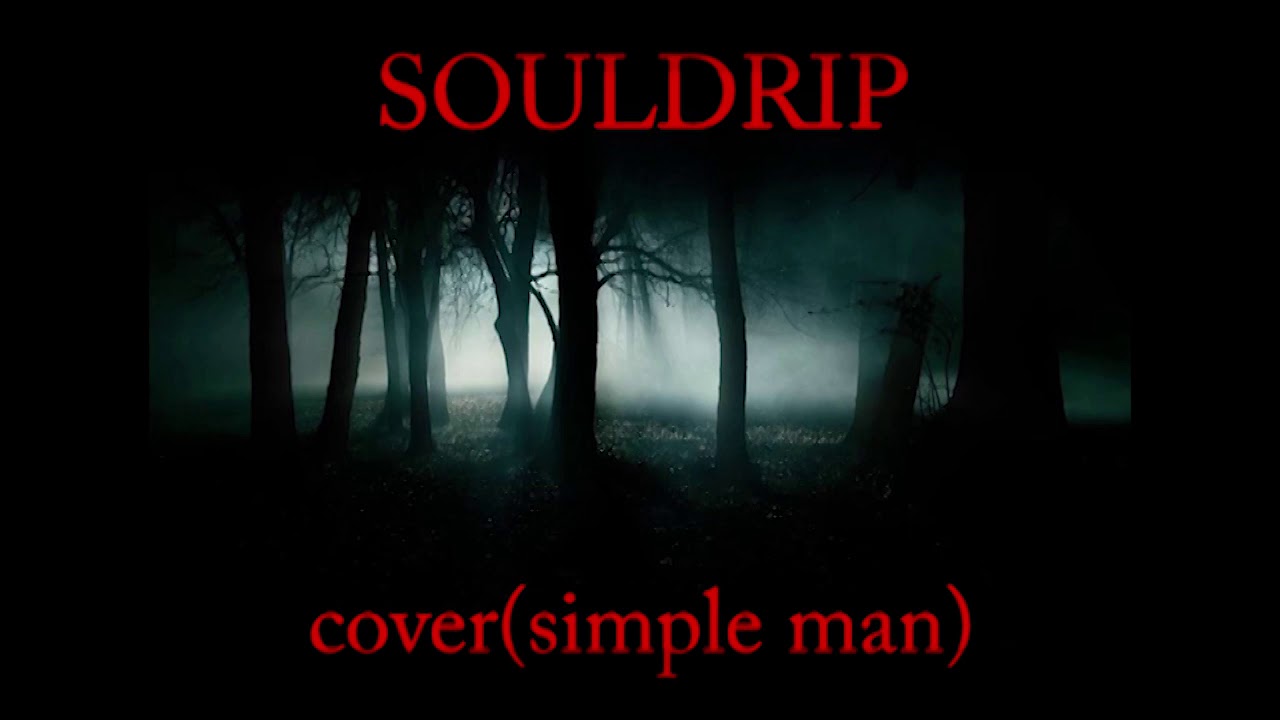SOULDRIP - cover(simple man)