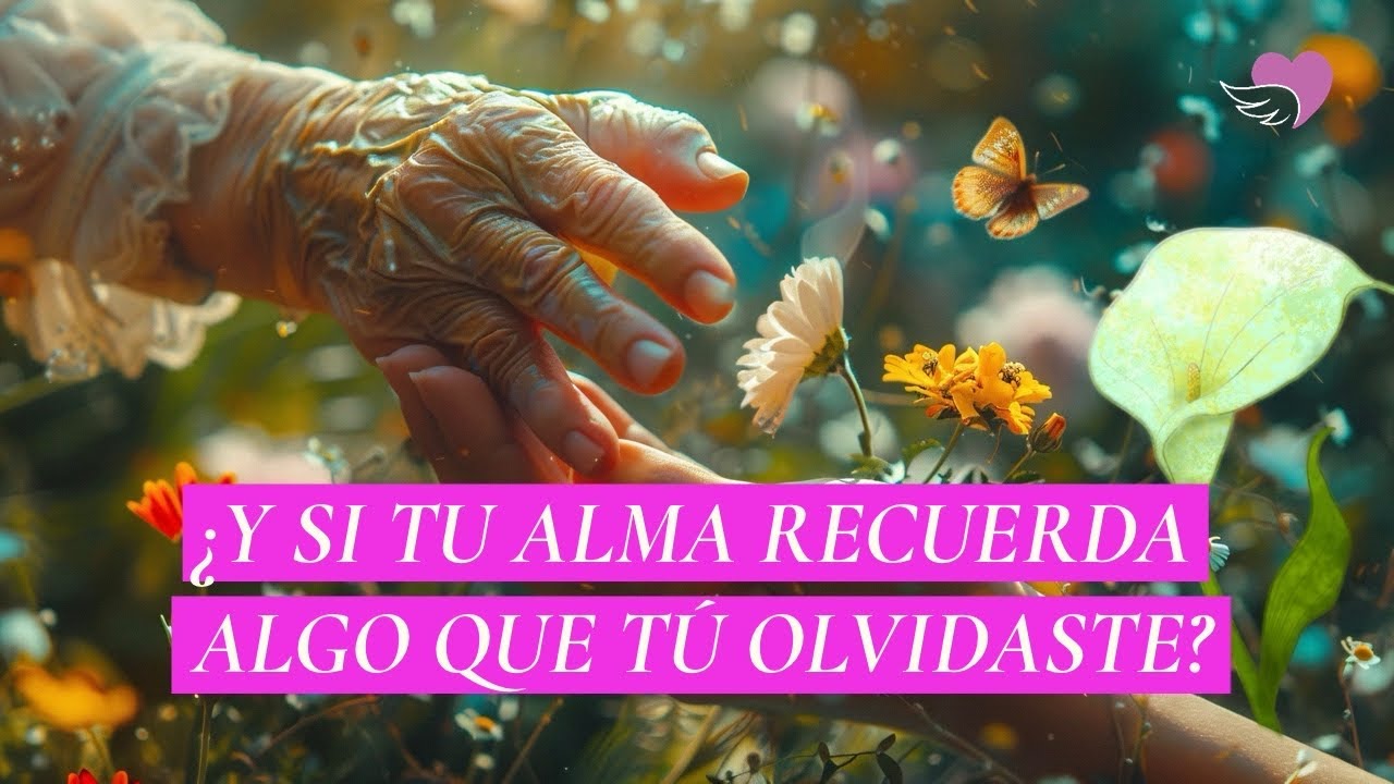 Señales y momentos que despiertan tu esencia | Una reflexión para conocer a tu alma. 