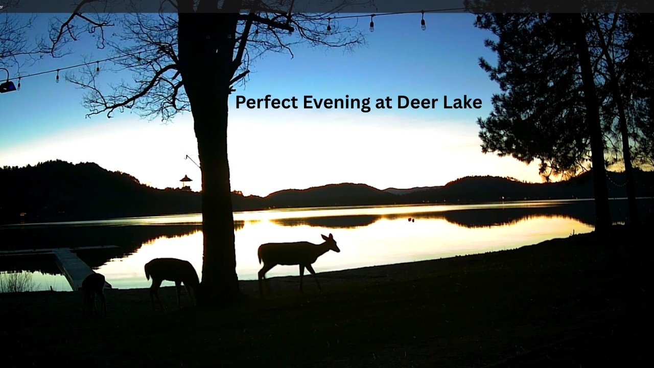 Perfect Evening at Deer Lake