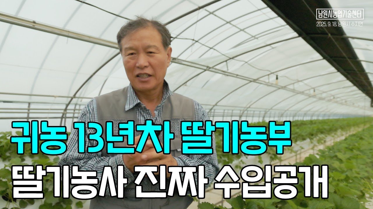 귀농 13년차 딸기농부 딸기농사 진짜 수입공개!