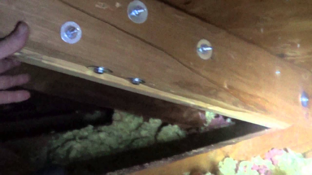 Sistering broken rafter in attic for roof repair June 2013
