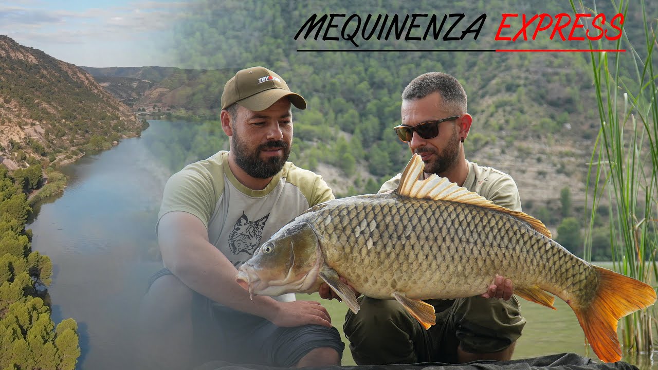 MEQUINENZA EXPRESS