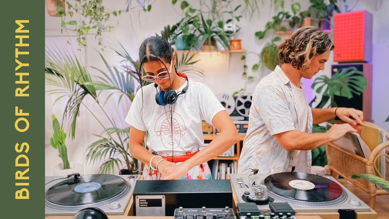 Enchanting Melodies from a Dreamy Island with Birds Of Rhythm