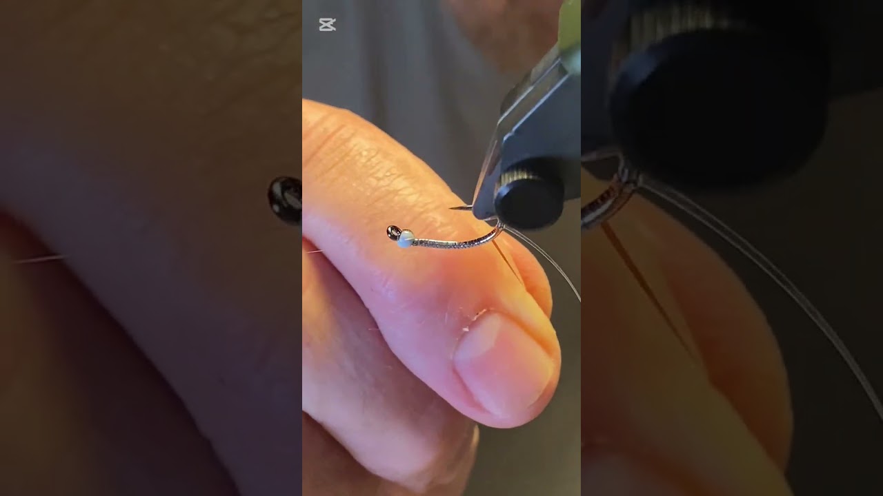 Wes’ resin body segmented chironomid. 