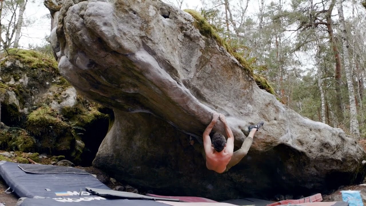 Kong | 7C | Boissy Norgevaux | Fontainebleau