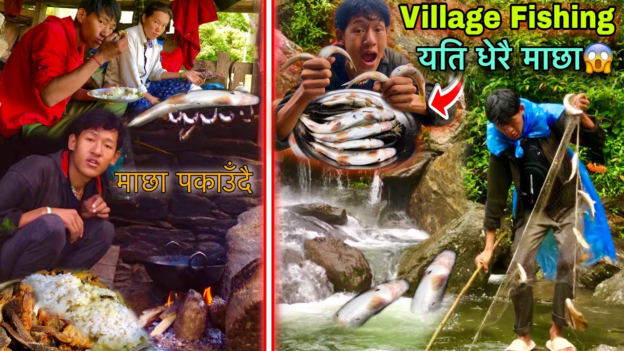 Village Fishing And Cooking ! Net Fishing ! Himalayan Trout Fishing ! Fish Cooking in Forest