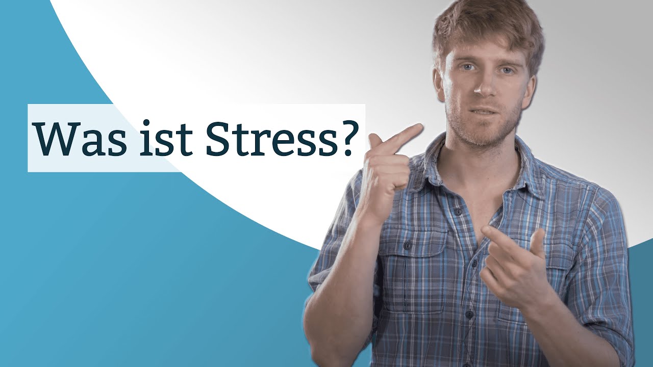 Was ist Stress?