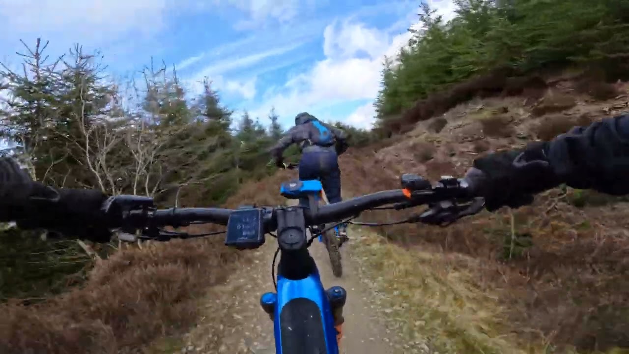 LlANDEGLA - MARCH 2025 - 4K