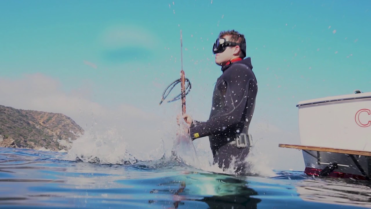 Solid Sun Logistics | Diving in Catalina