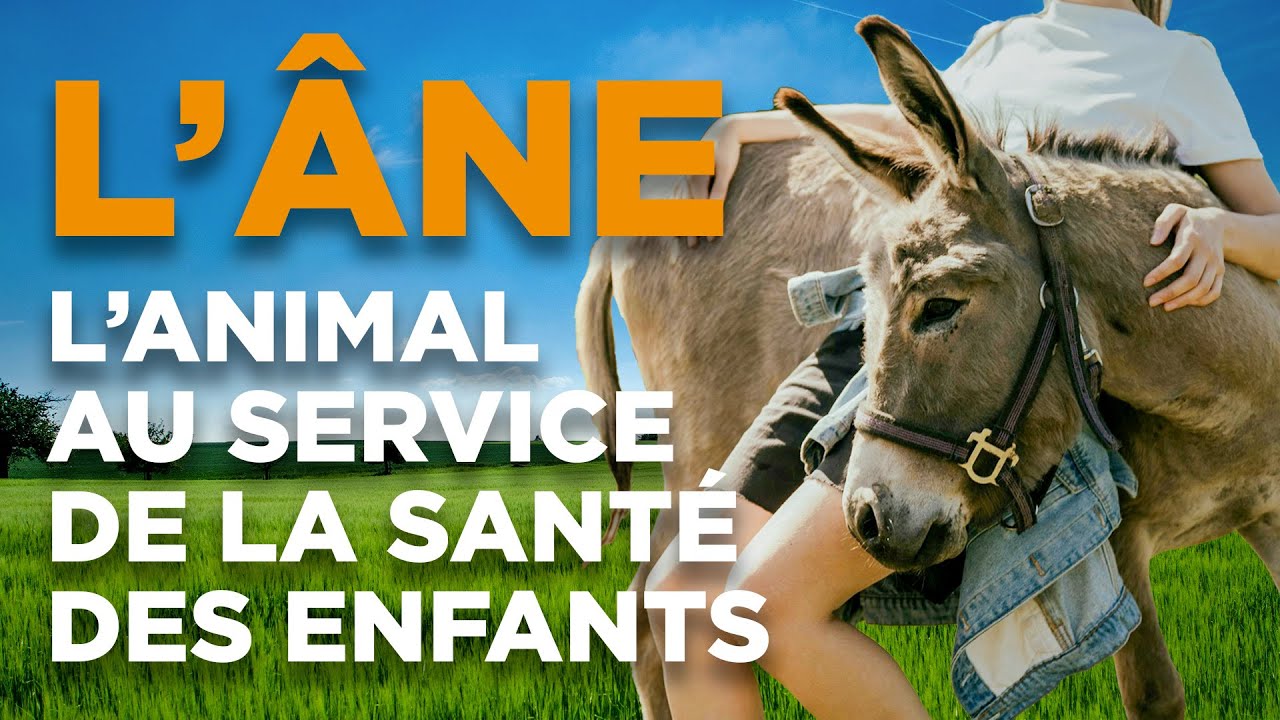 L'asinothérapie au service des enfants : Rencontre avec le Centre Hospitalier de Thuir