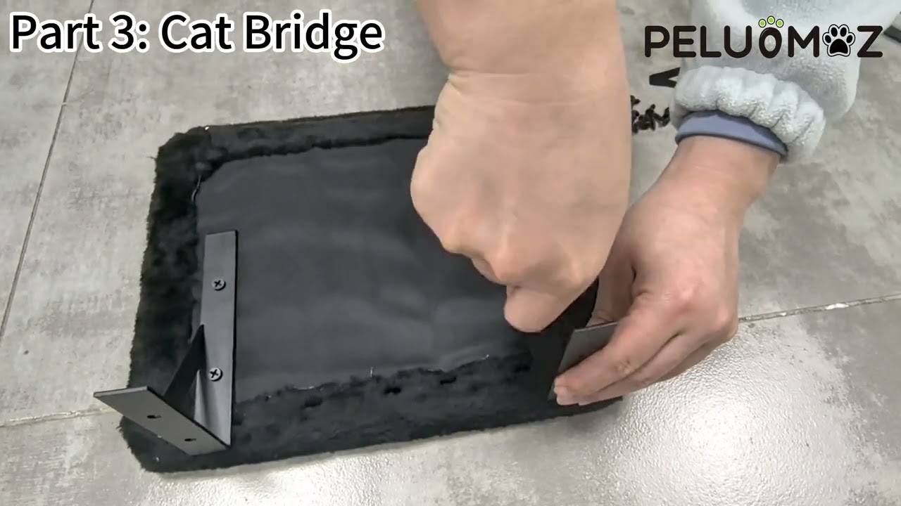 Peluomoz Cat Wall Furniture Combo Install Video