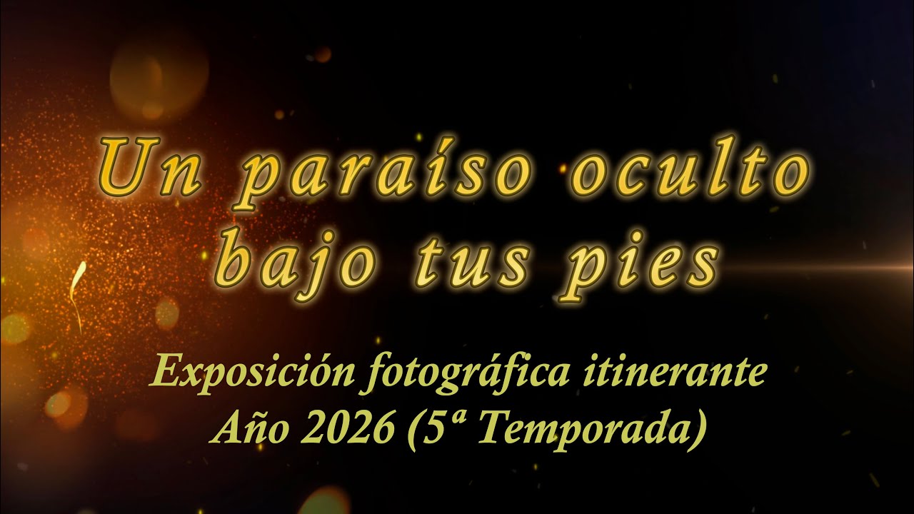 EXPO 2026