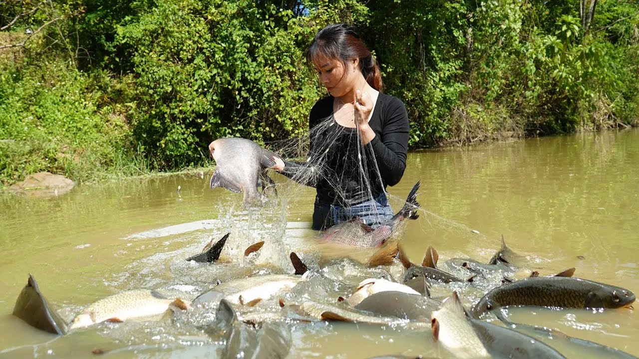 72 Hours Catching Thousands of Fish With Nets - Harvesting Eggs on the Farm to Sell at the Market!