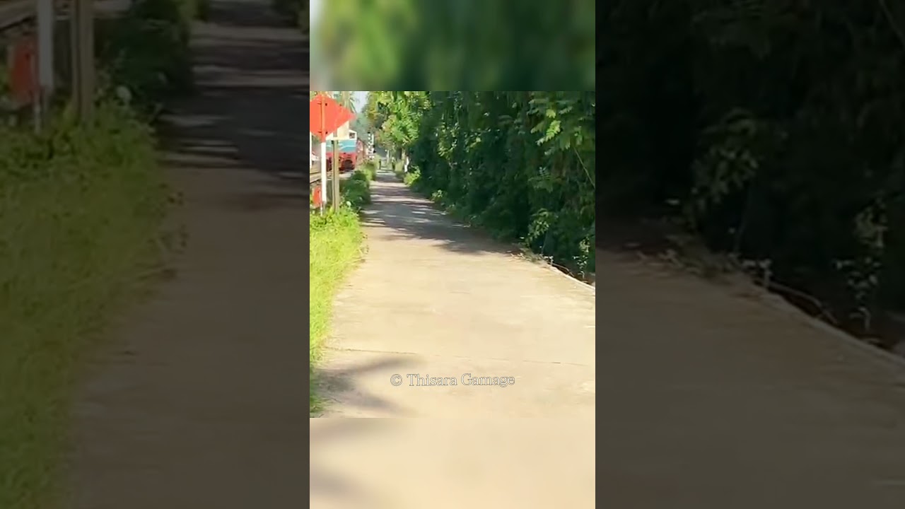 Live Train Accident in Sri Lanka #shorts