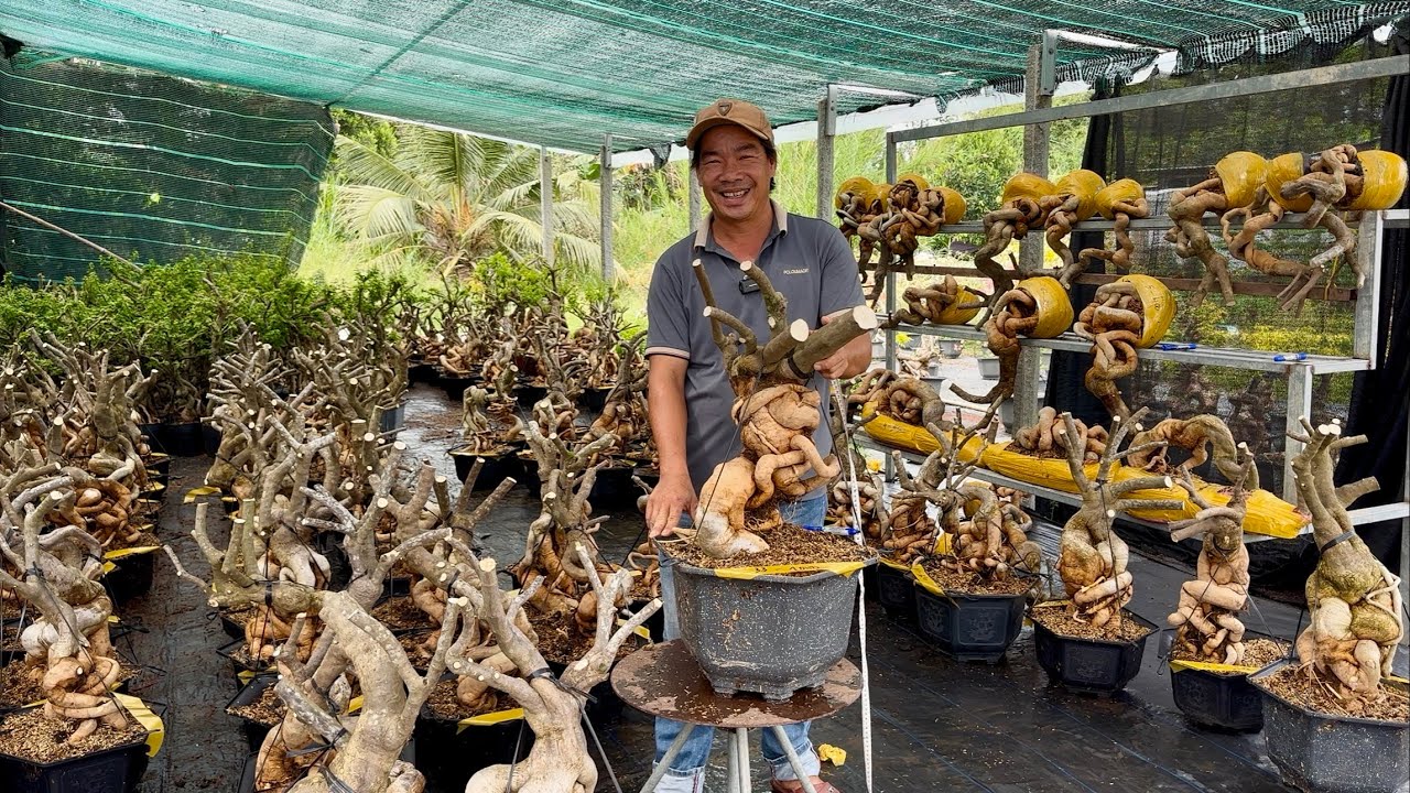 Phôi hoa giấy siêu đẹp giao lưu sỉ và lẻ nhận ghép theo yêu cầu giao lưu toàn quốc☎0939884129 Anh Tý