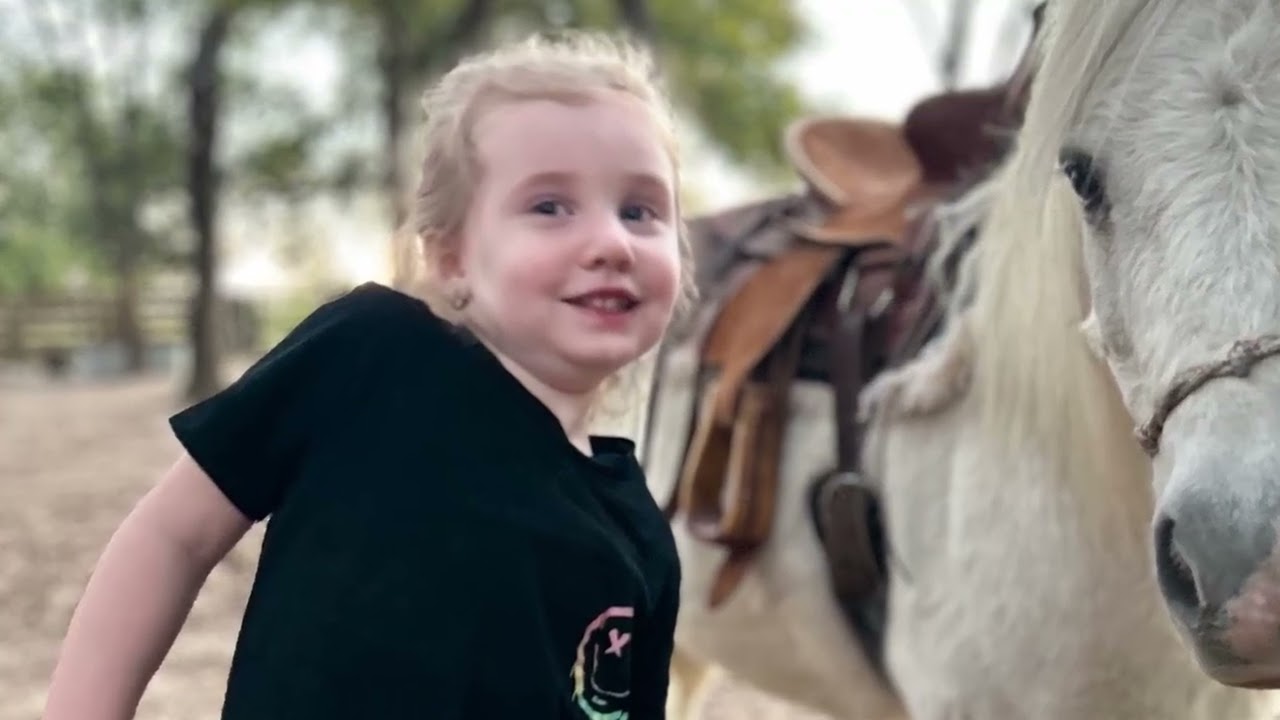 🎄Pony 🎄🍀 SOLD 🦃🎄 Christmas Special 🎅Olof is for any kids to ride. 100% $2550