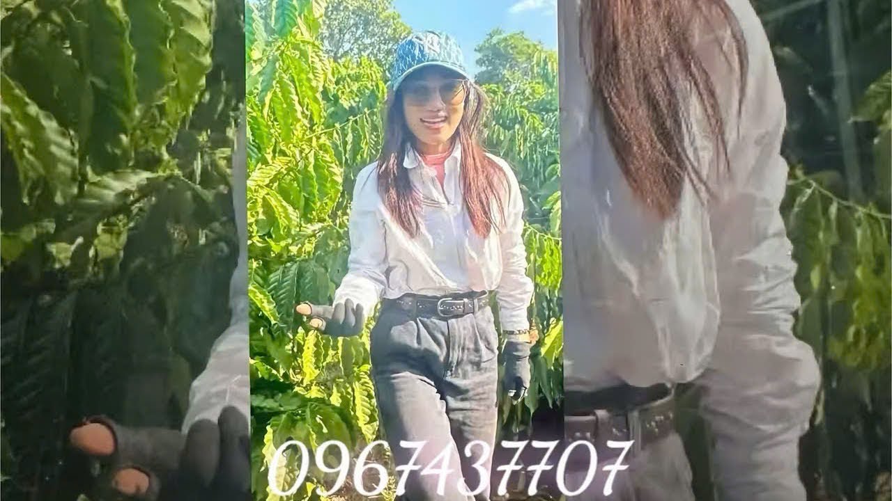 Đất rẫy Tây Nguyên giá rẻ ￼