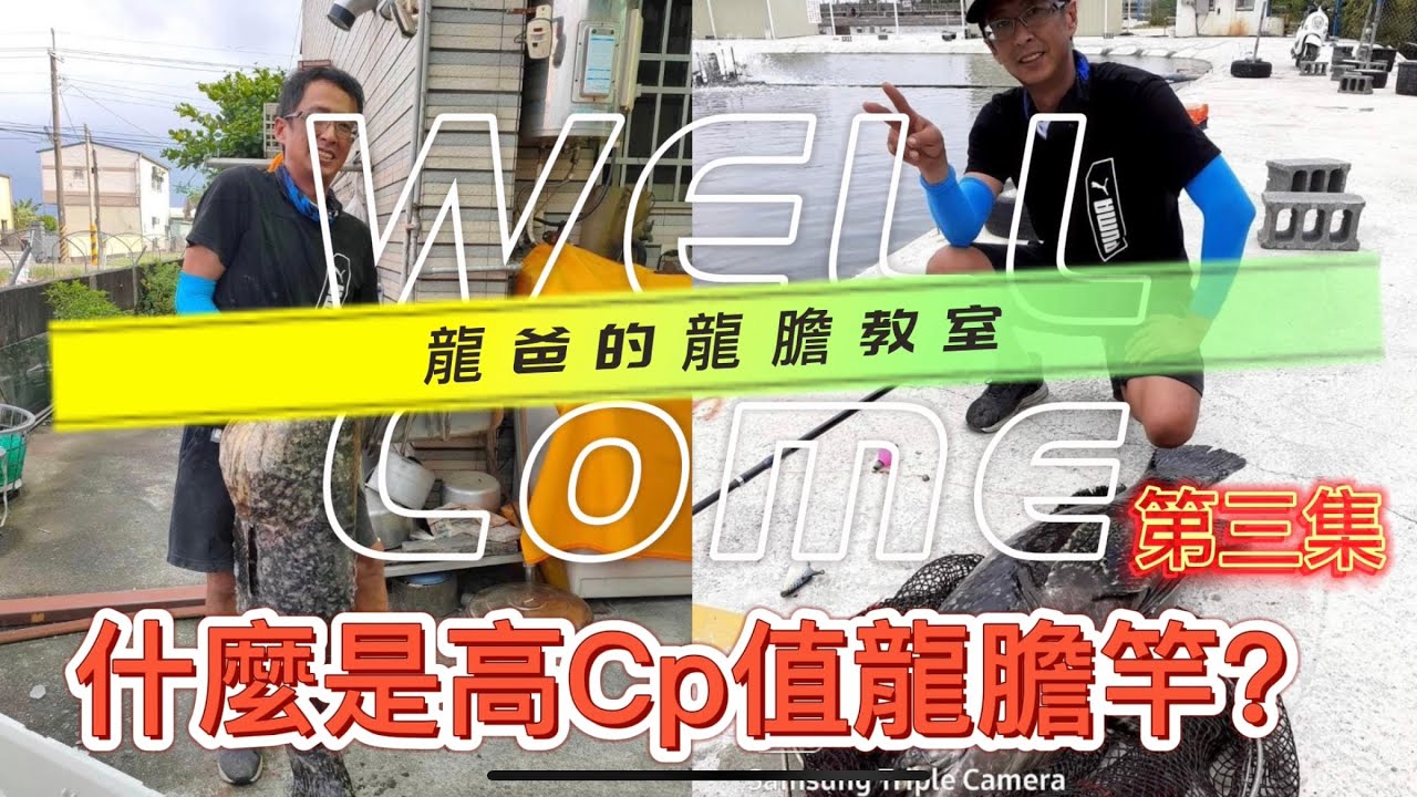 龍爸的龍膽教室🔥第三集🔥😵‍💫小資族、ㄧ次性、什麼是高CO值的杆子，節目最後奉上、（我在美人魚的一天）