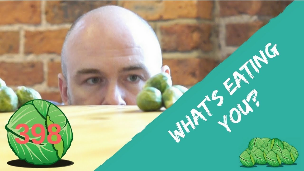 What's eating you? | daily sprout 398