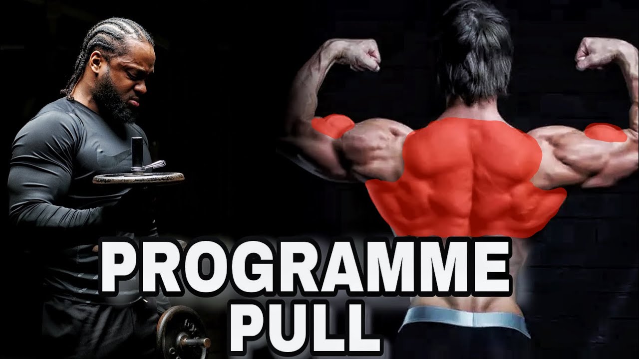 PROGRAMME COMPLET DOS, BICEPS ET TRAPÈZES  (PPL)