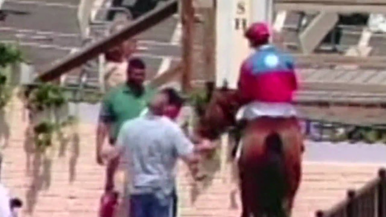 The Grandson of Secretariat: Brahma Fear