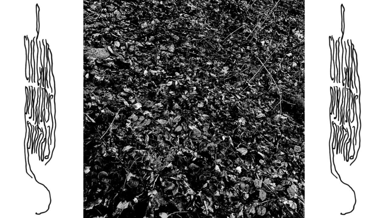 unknown artist - untitled (longer excerpt)