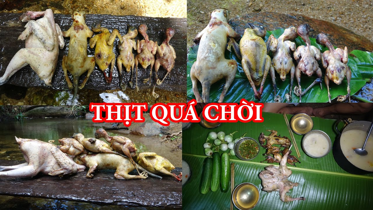 VÀO RỪNG KIẾM ĂN, ĐÁNH BẪY, SĂN BẮT, CUỘC SỐNG TRONG RỪNG - T3