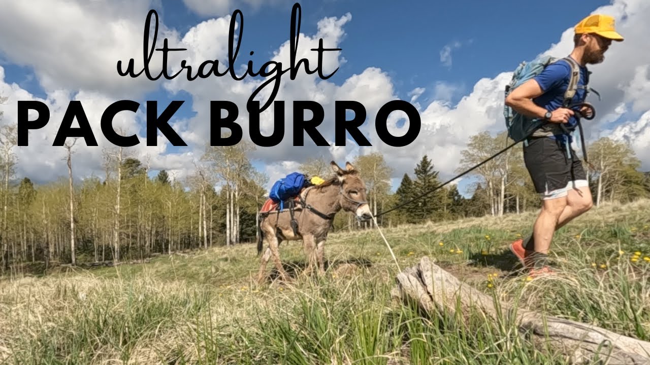 Ultralight Pack Burro Trip