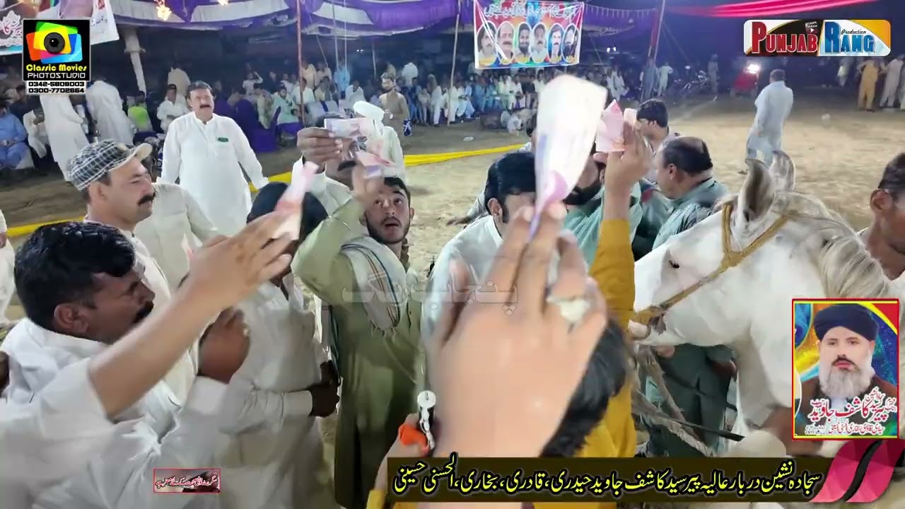 Horse Name Uqab l 9 October 2025 lHorse Dance 13 11 L Chichawatni Sahiwal l Haider Alli Shah Gilani