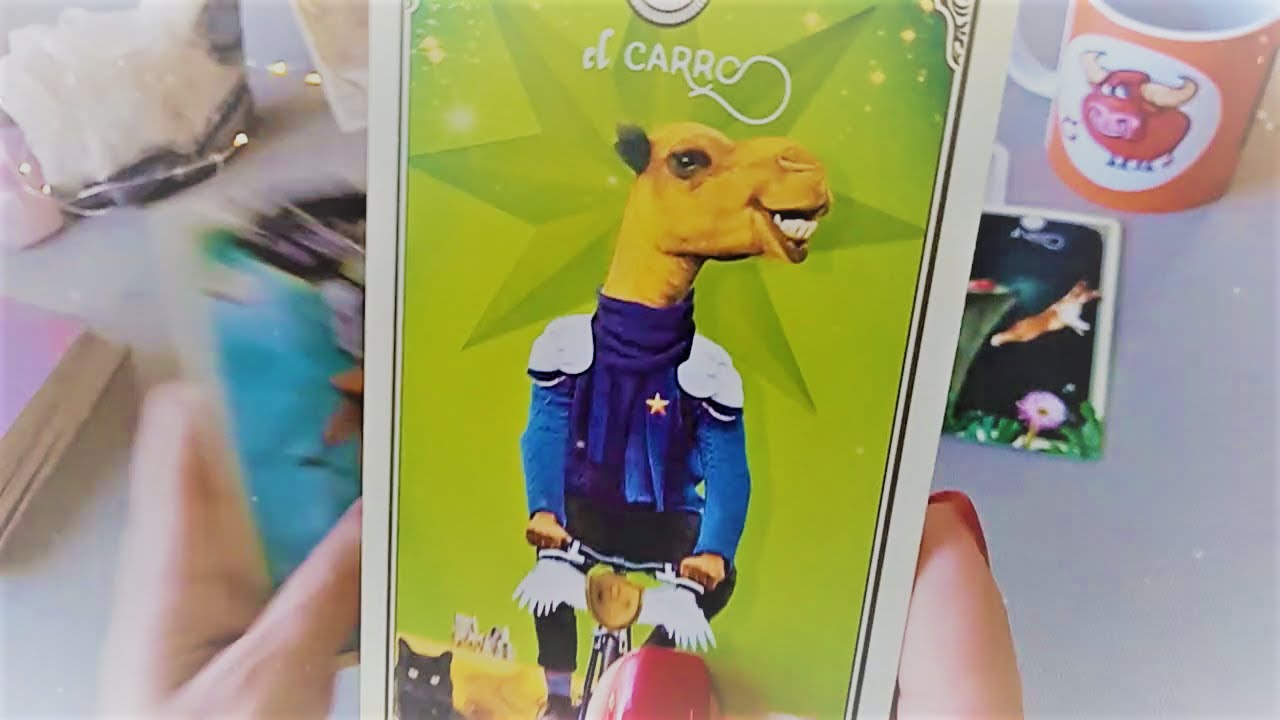 TAURO💘FEBRERO| NUEVO CAMINO , VIDA NUEVA!  DEJAS EL 👿PASADO ATRÁS 💔ALGUIEN MÁS TENDRÁ SU OPORTUNIDAD