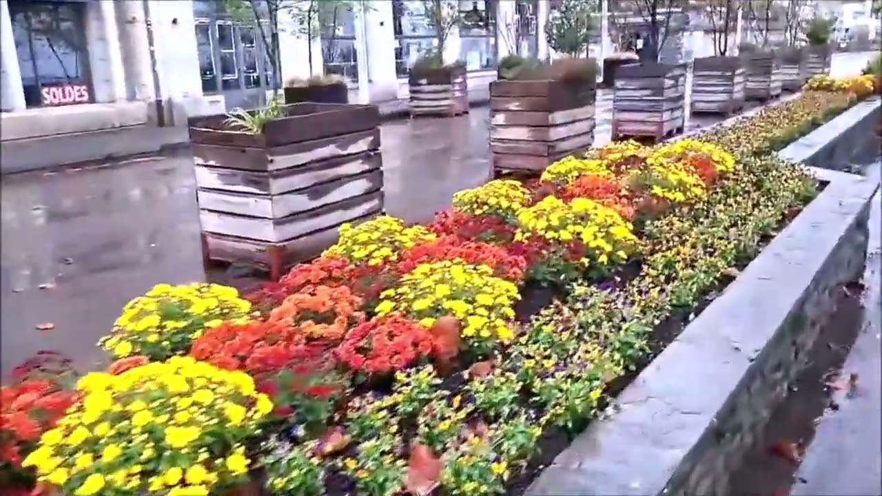 Ep 7 ปราสาทชิลยอง Chillon Castle สัญลักษณ์ของเมืองมองเทรอซ์ เมืองตากอากาศริมทะเลสาบเจนีวา