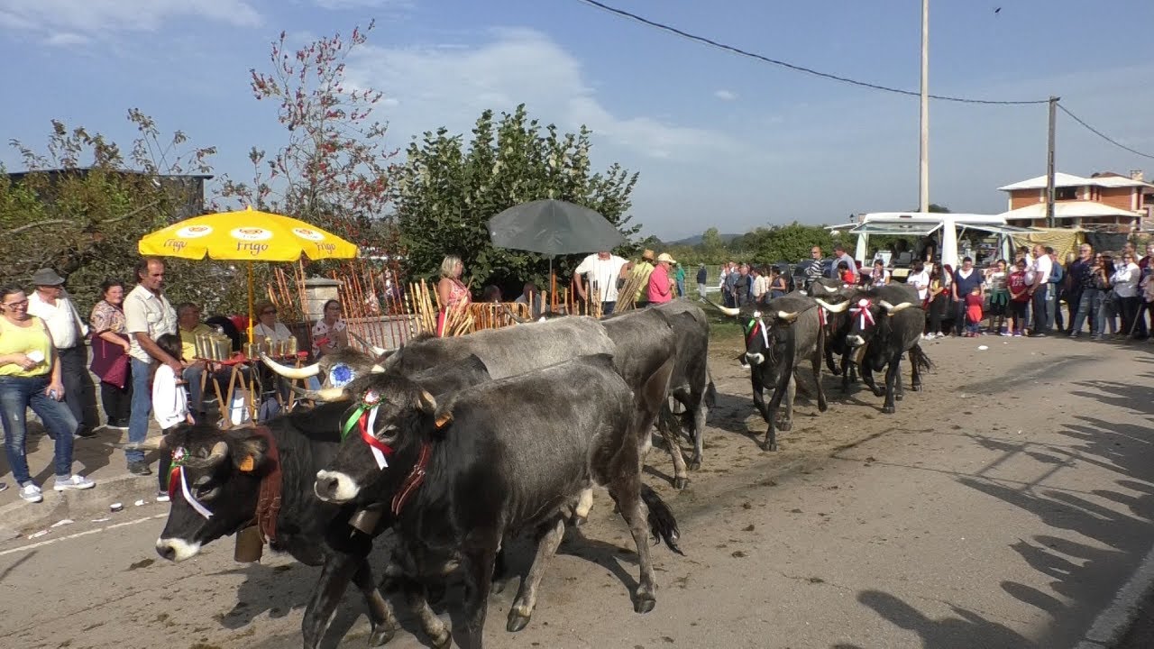 12 10 2019 OLIMPIADA DEL TUDANCO CABEZÓN DE LA SAL