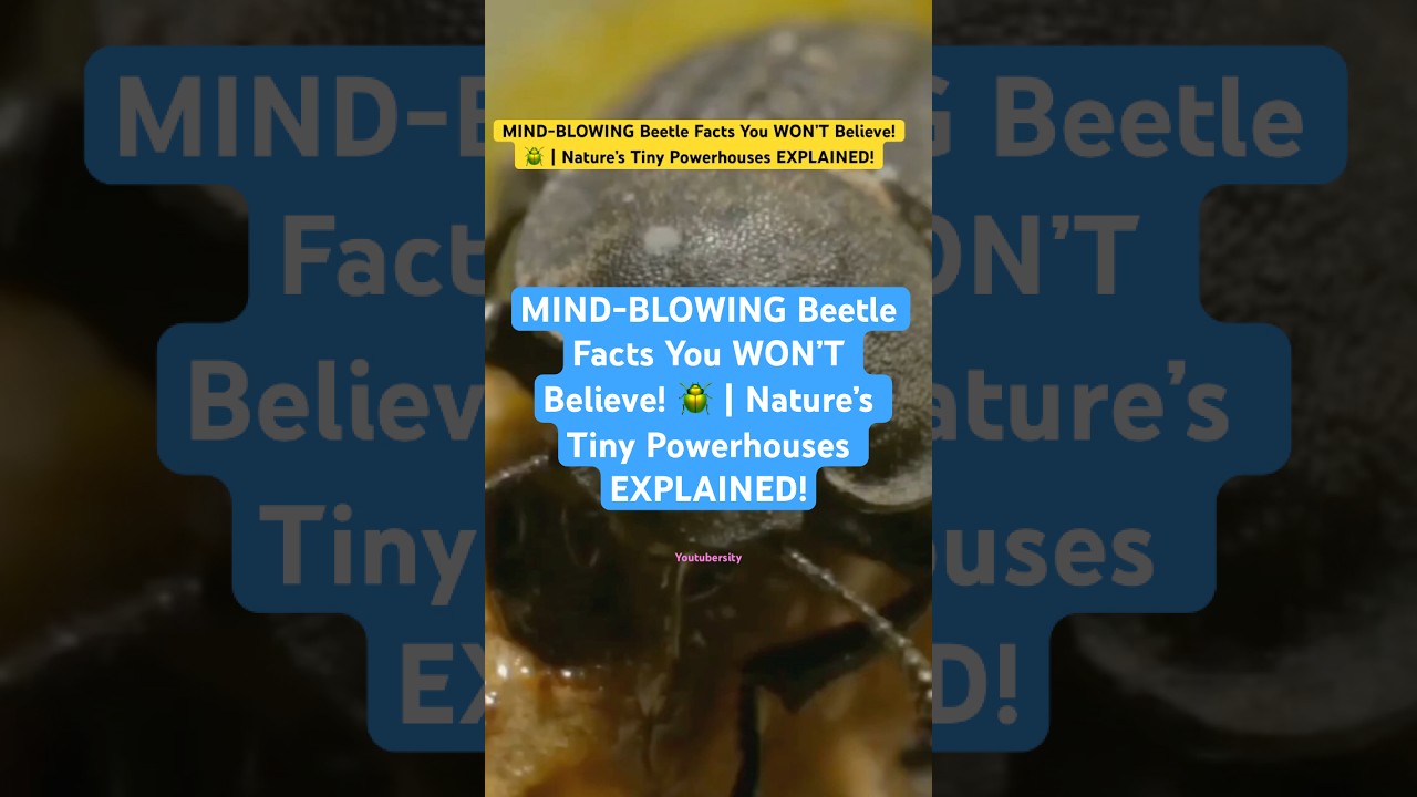 MIND-BLOWING Beetle Facts You WON’T Believe! 🪲 | Nature’s Tiny Powerhouses EXPLAINED!