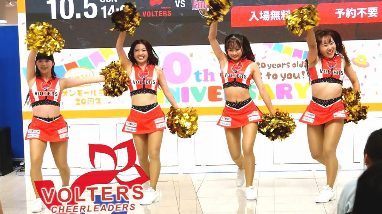 VOLTERSチア 