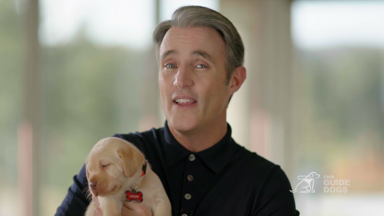 Become a CNIB Guide Dog sponsor today!
