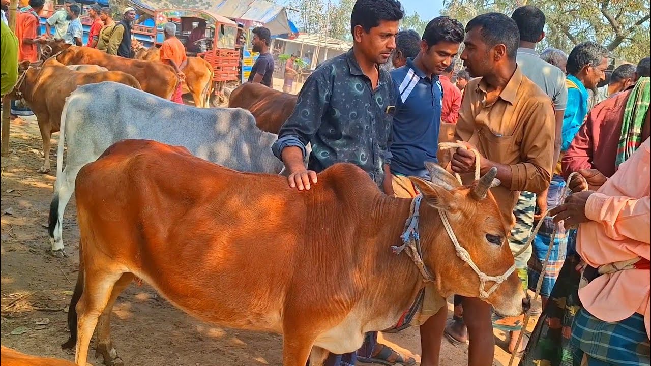 @আজ ২৫ ফেব্রুয়ারী