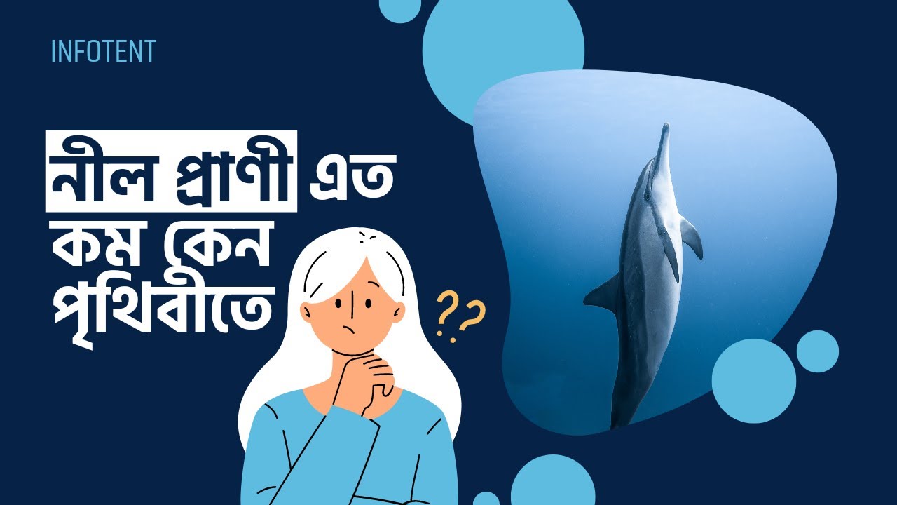 Why can't we see any animals in blue? Infotent