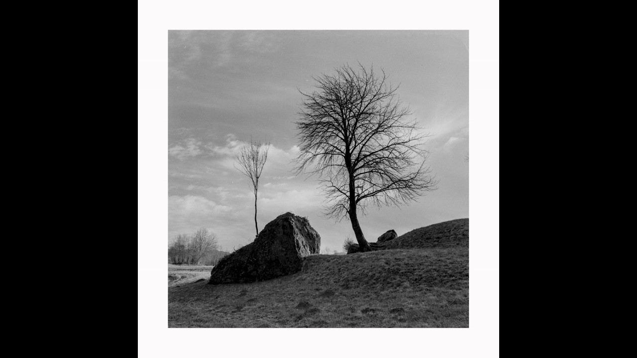 La Vera Fotografia - Nella Valle del Cordevole