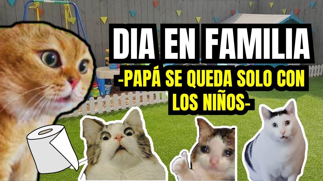 DIA EN FAMILIA, Papá se queda solo con los niños (meme de gatos)