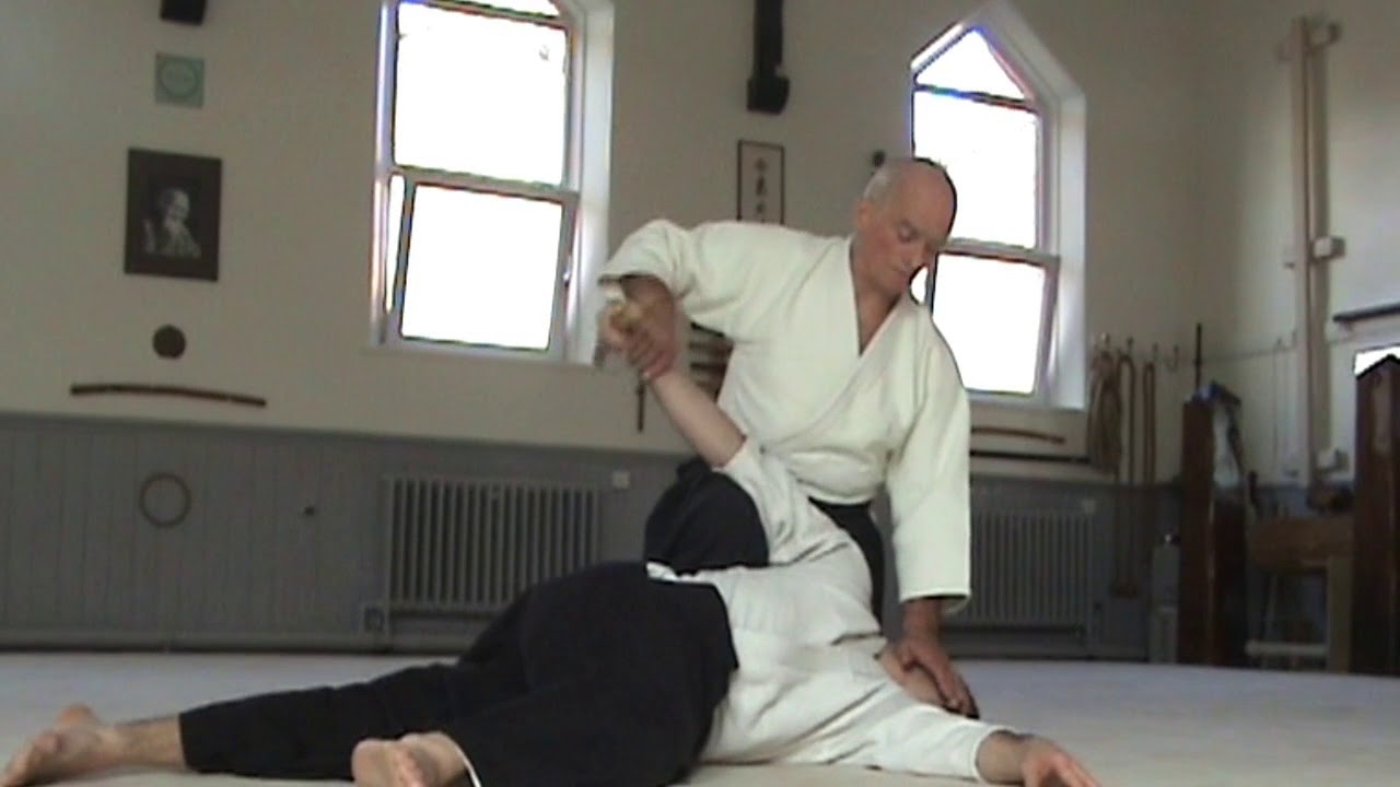 Aikido. Terry Ezra Shihan,  Bokken Dori, Irimi Nage